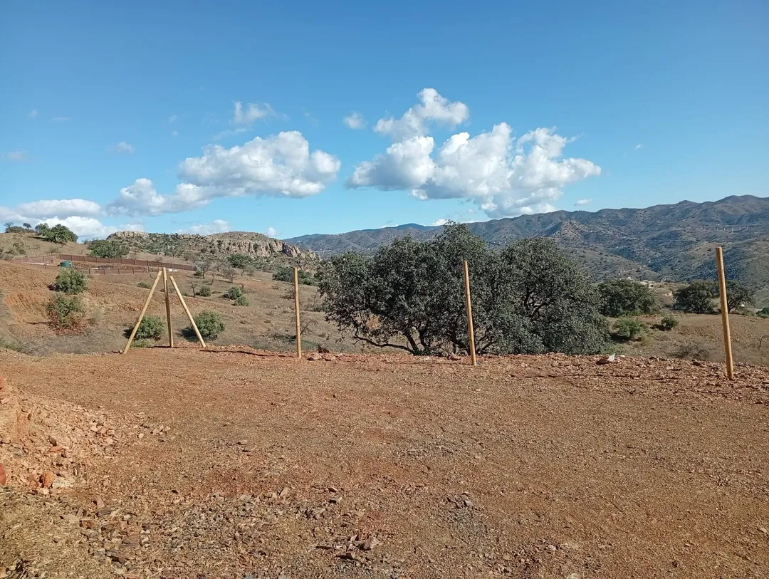 Finca rústica en  Diseminado R31 67 - Foto 2