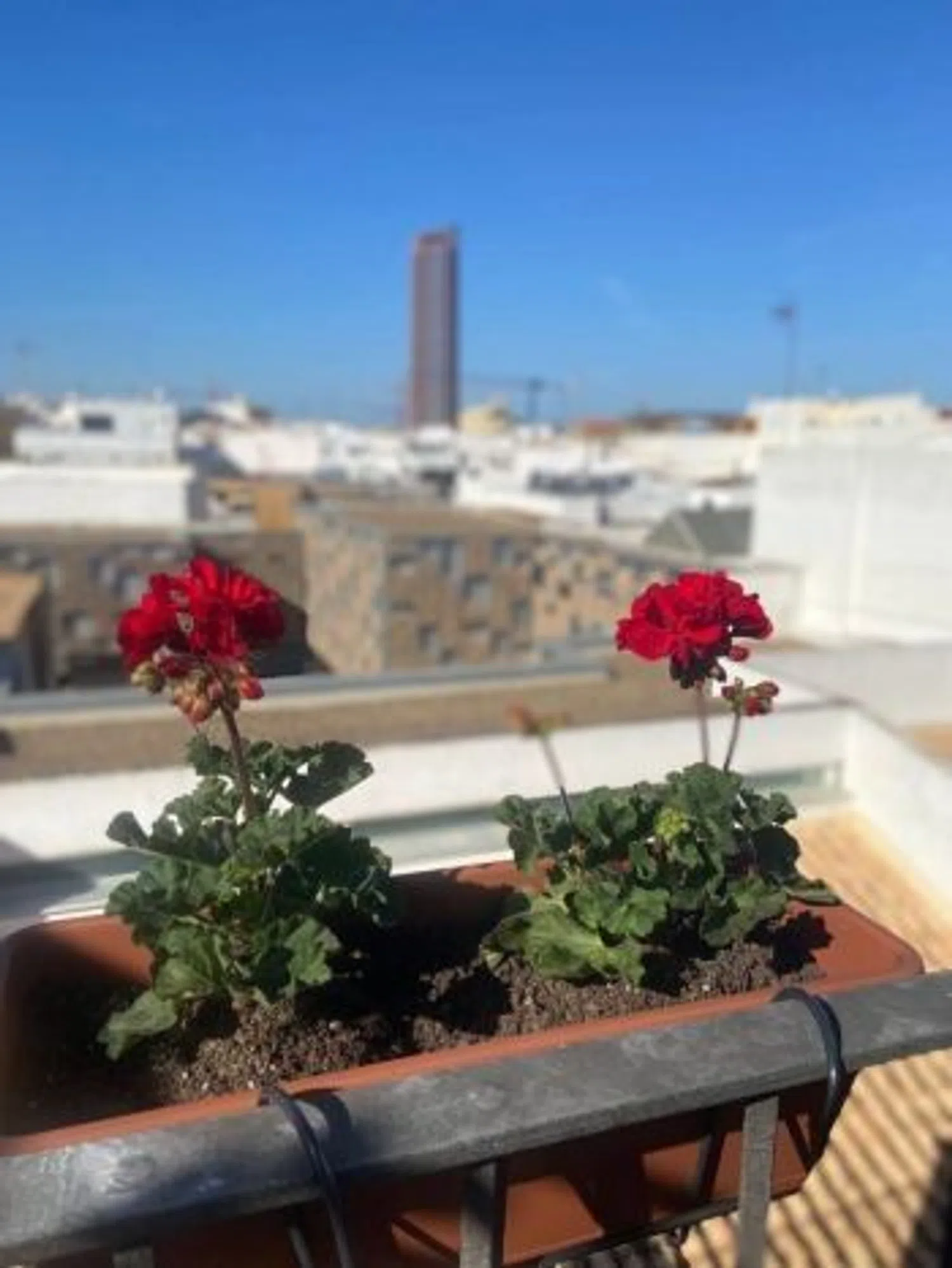 Piso en C. Antillano Campos, 3 - Foto 11