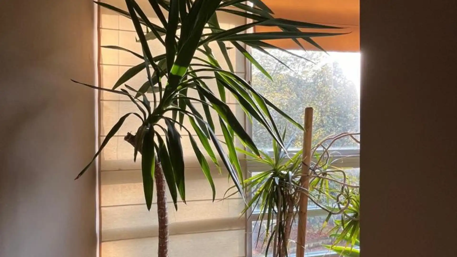 Piso en  Rúa Daniel Castelao 3 - Foto 37