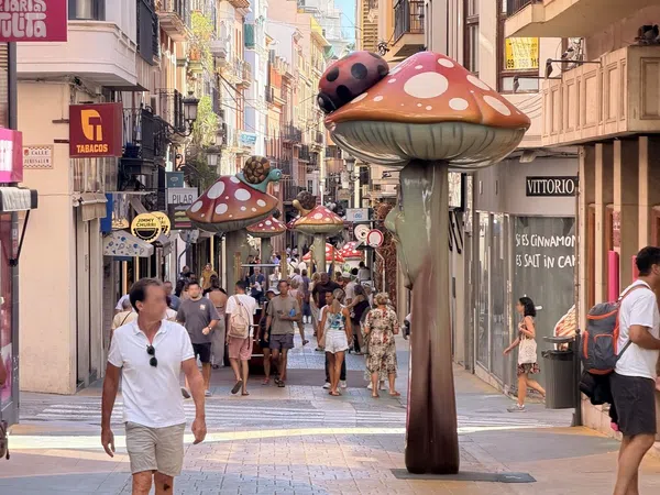 Piso en Calle Barón de Finestrat, 21, Centro Tradicional - Foto 1