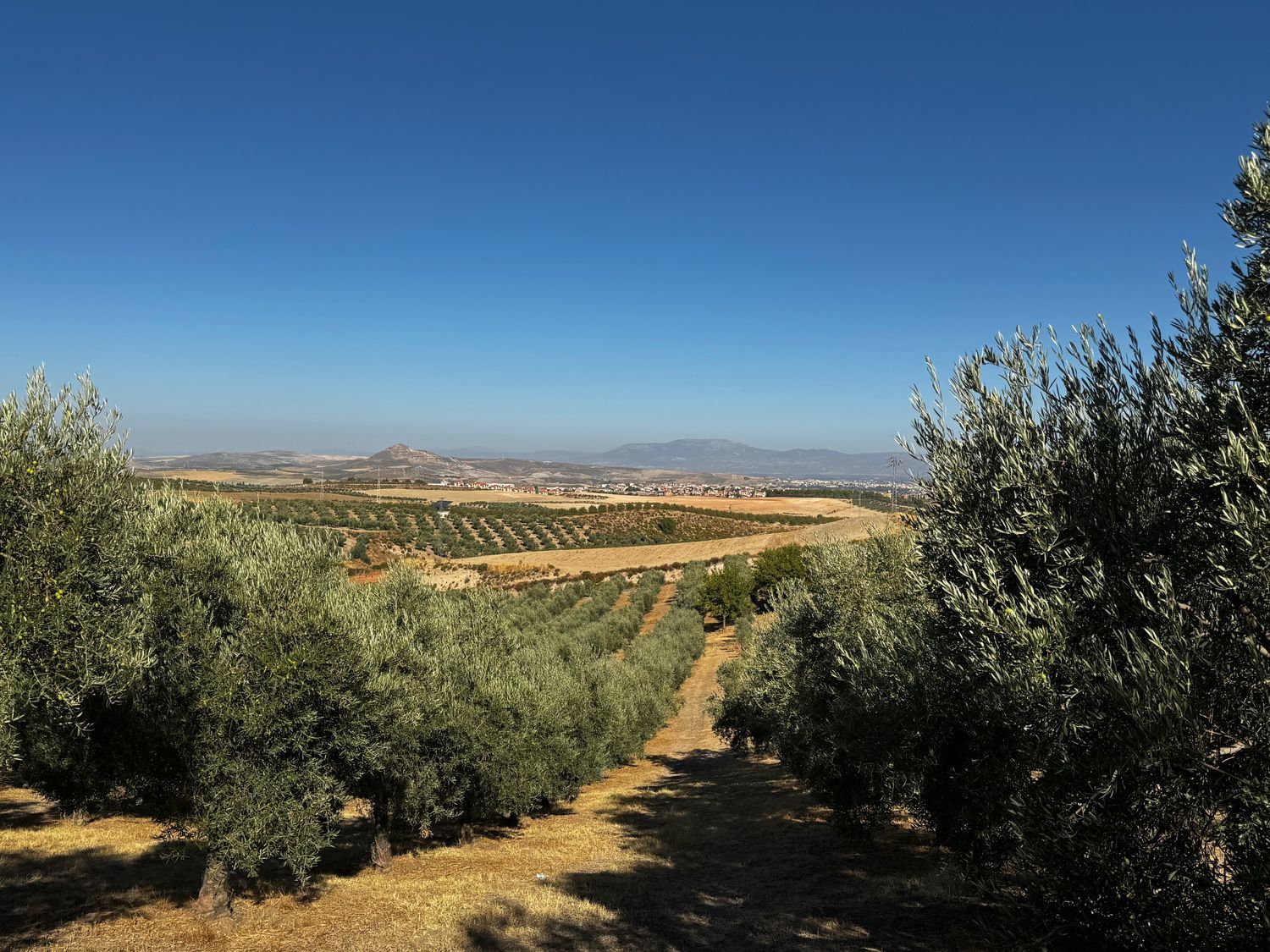 Finca rústica en Arroyo de la Calera 18152 s/n - Foto 9