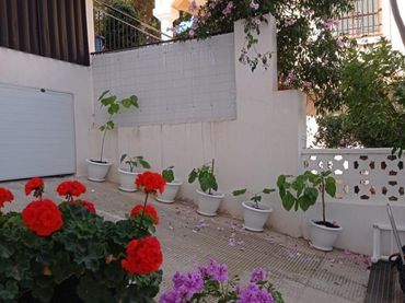 Planta baja en  Calle Severo Ochoa 17 - Foto 25