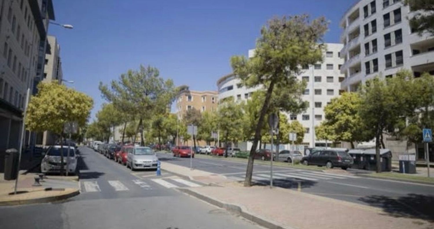 Piso en Avenida Italia, 4 - Foto 3