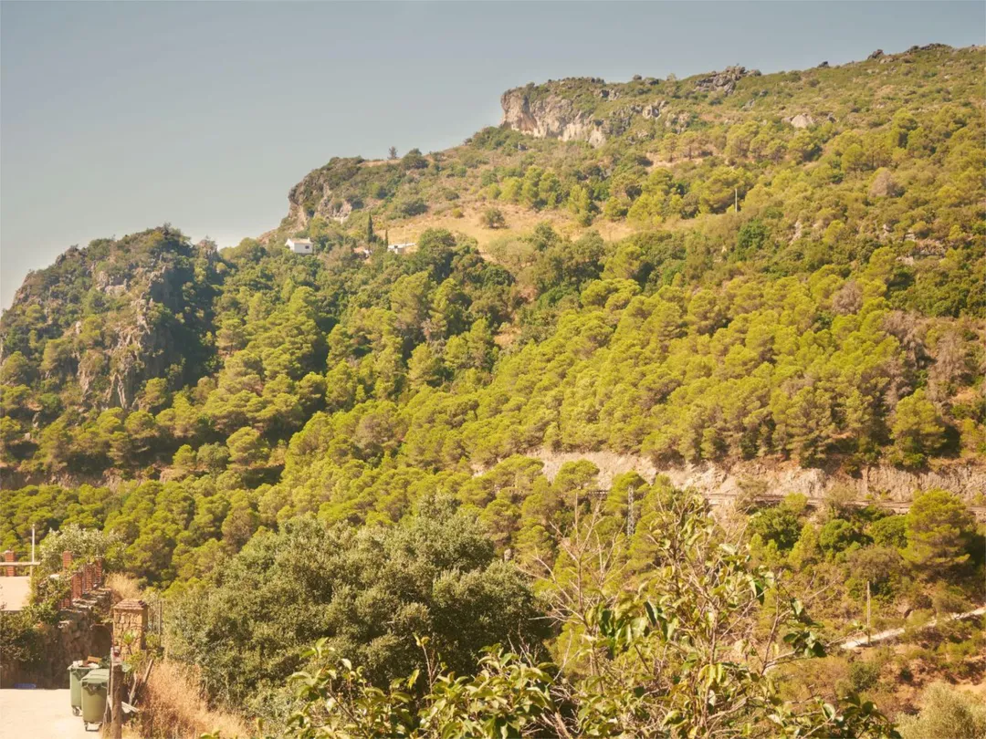 Finca rústica en  Carretera Ma-8300 a-7 a Casares 44 - Foto 6
