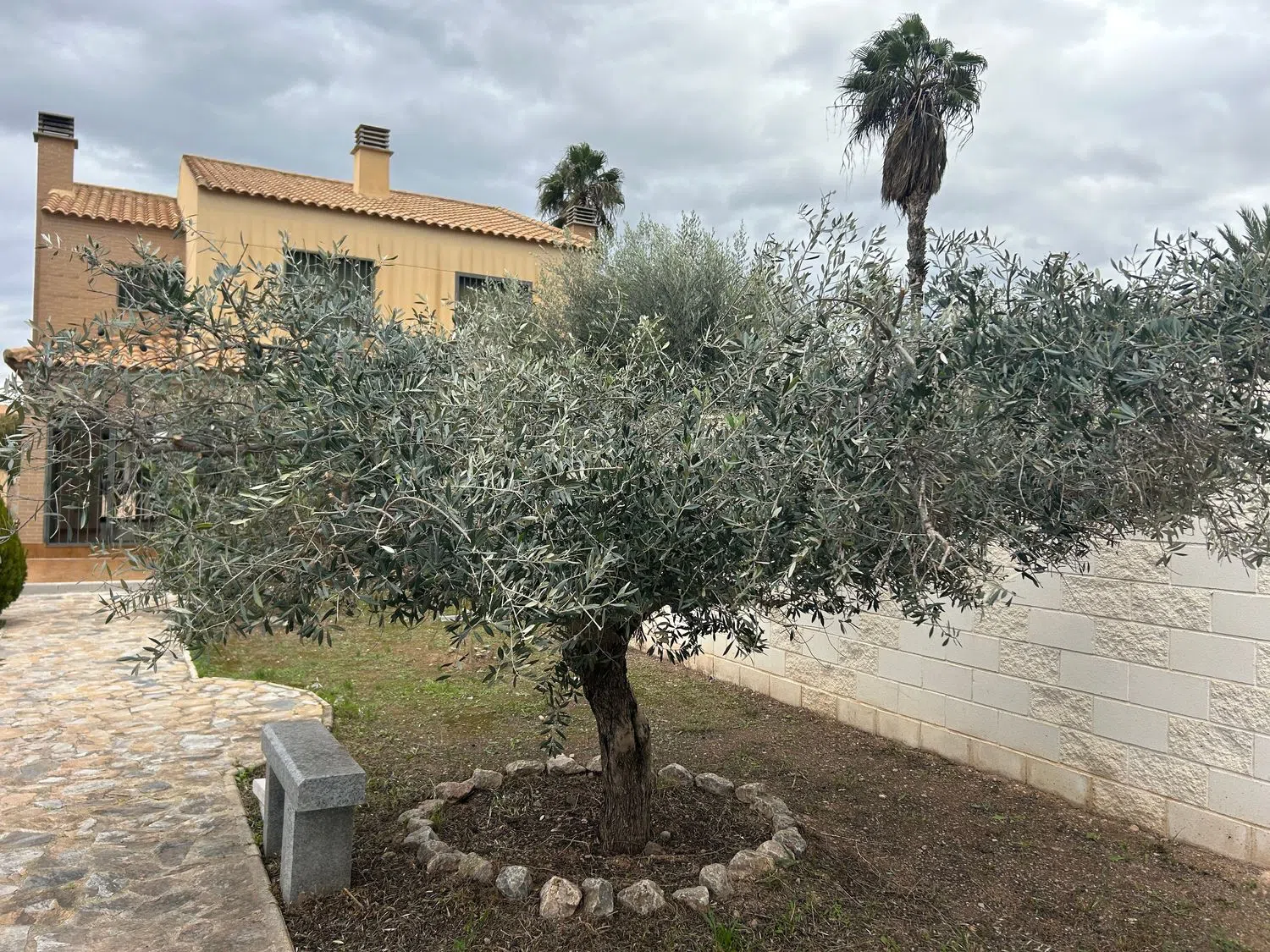 Chalet pareado en calle Lentisco, 14 - Foto 10