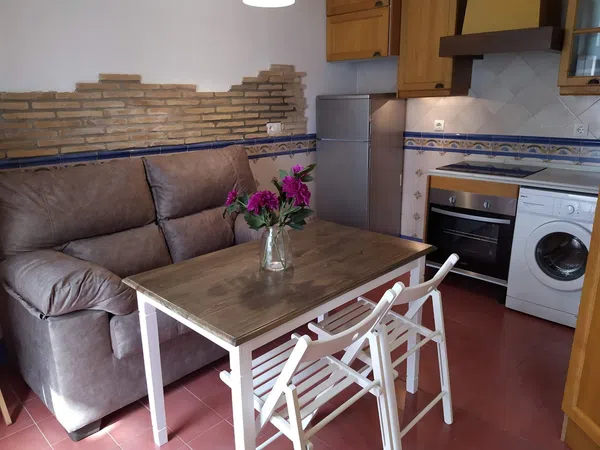 Dúplex en Calle Castilla, 16, Calle Betis - Pagés del Corro - Foto 6