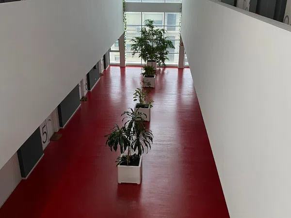 Estudio en plaza Centro, 3 - Foto 12