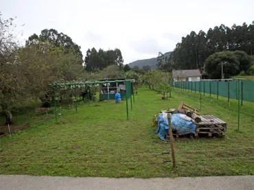 Finca rústica en  Aldea a Rega 6 - Foto 8