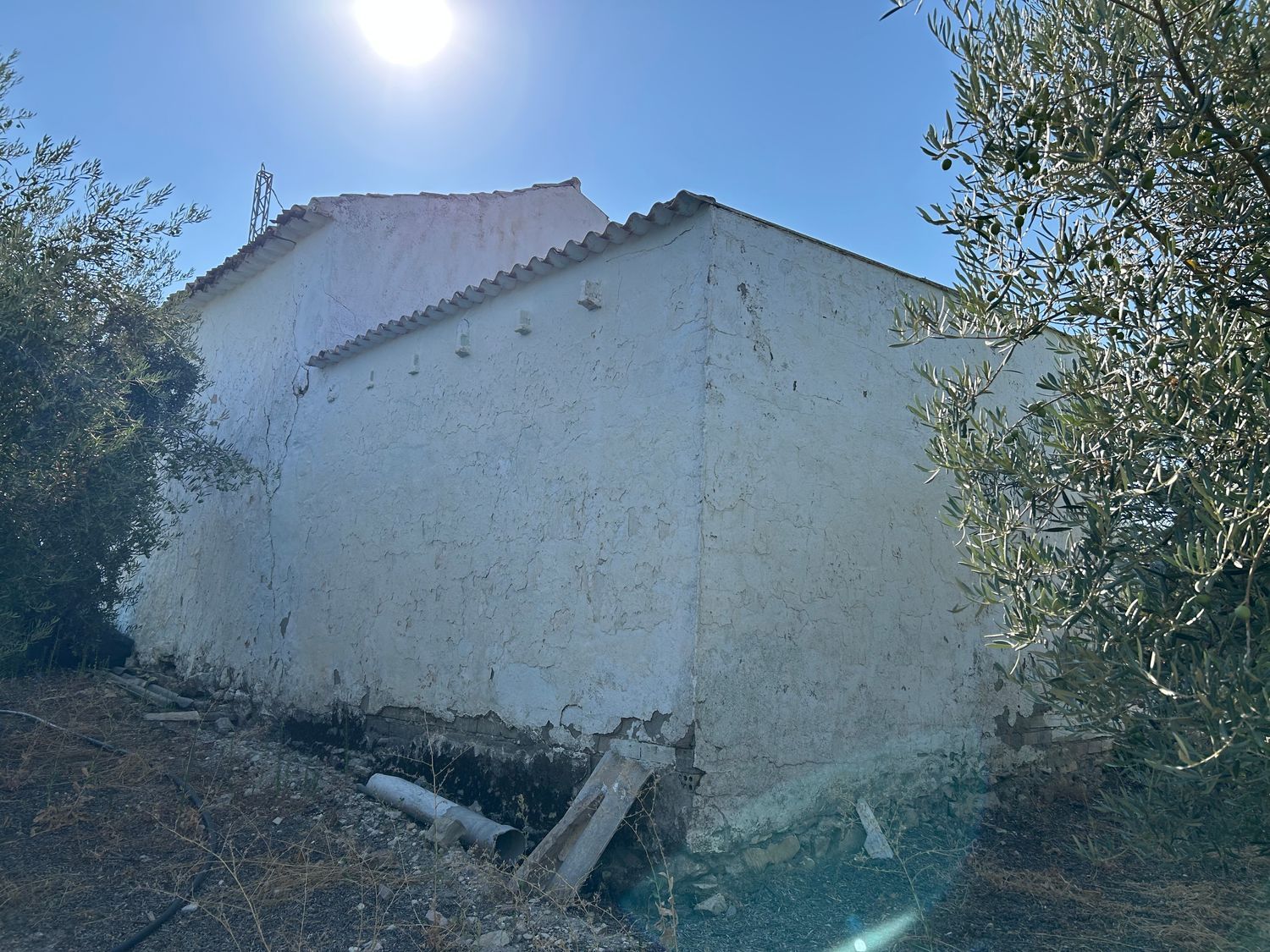 Cortijo en Cortijo en Diseminado Albaicin, 63 - Foto 4