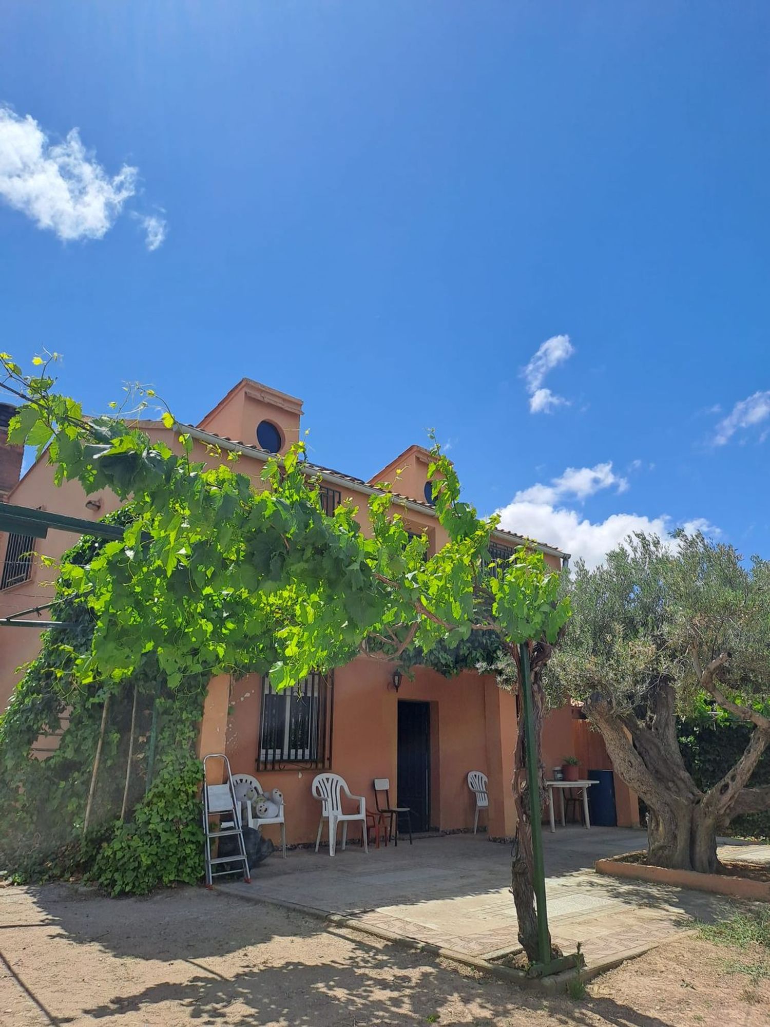 Finca rústica en camino Fuente la Junquera s/n - Foto 1