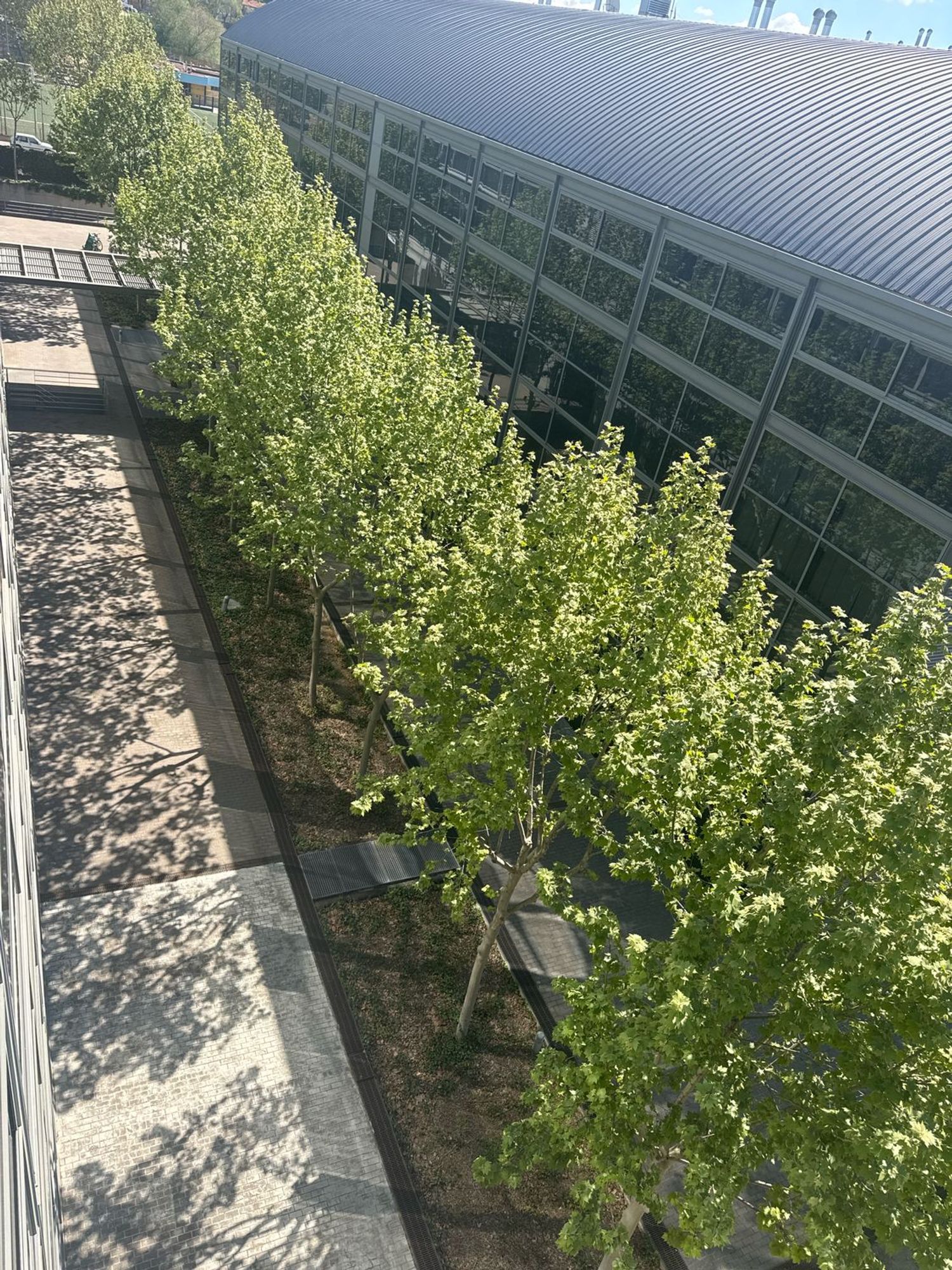 Dúplex en calle Antonio Suárez, 10 - Foto 27