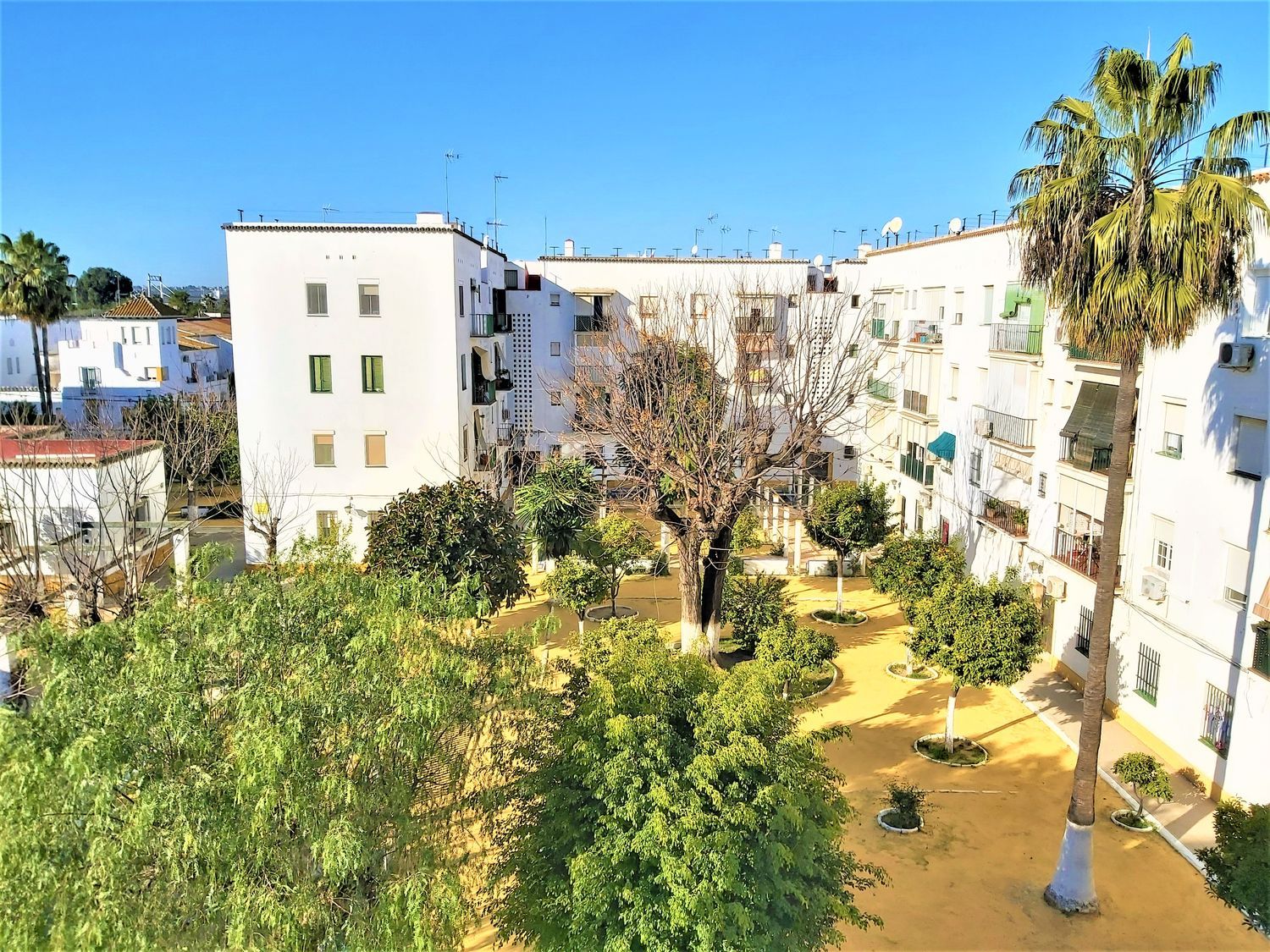 Piso en Avenida de la Reina Mercedes, 58, Reina Mercedes - Heliópolis - Foto 18