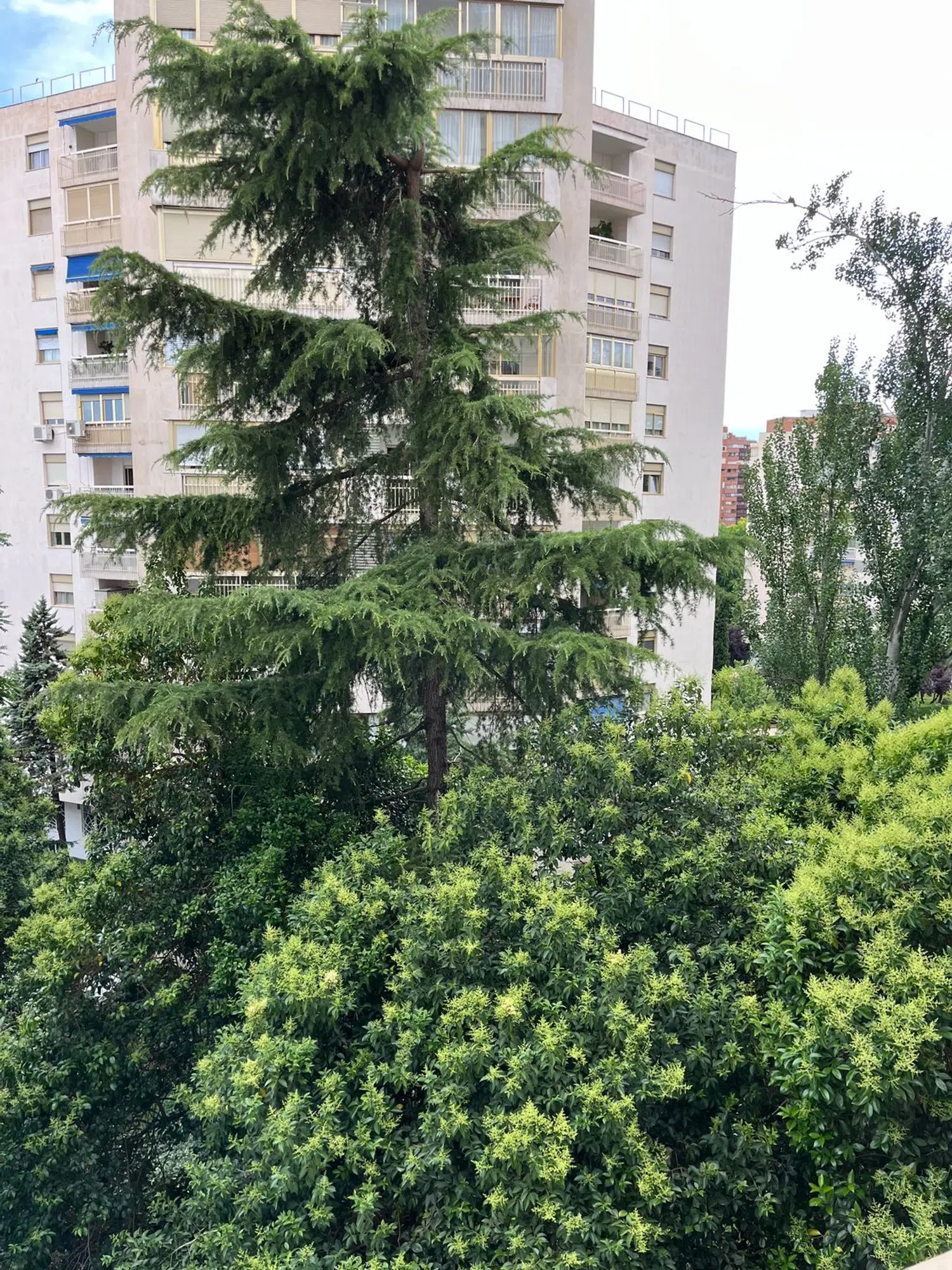 Piso en calle de Agastia, 17 - Foto 30