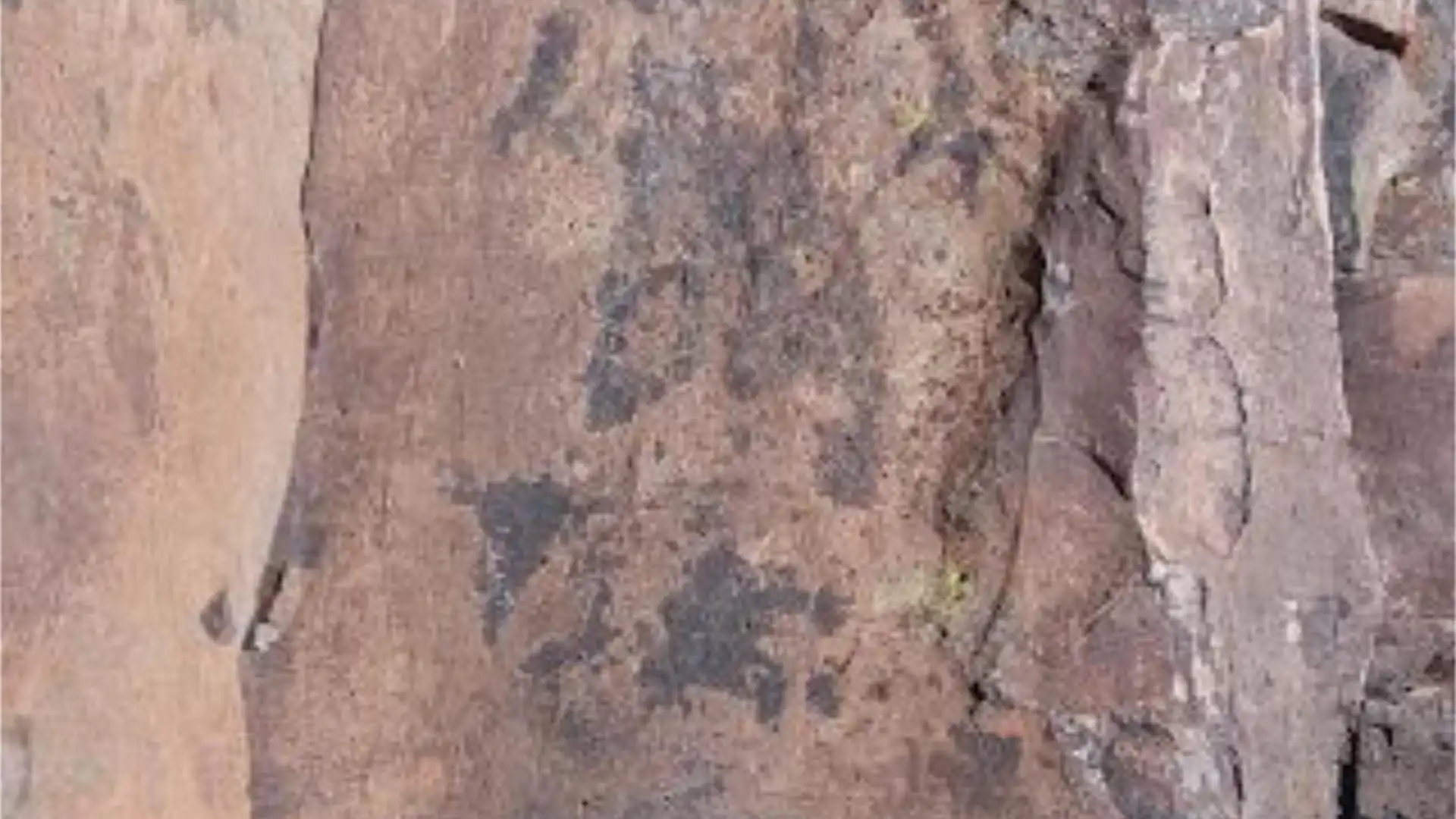 Finca rústica en calle Calle Espíritu Santo 15 - Foto 33