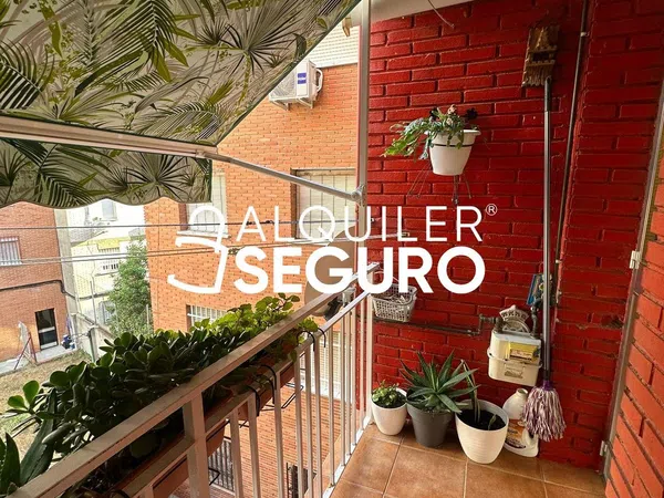 Piso en Camino de los Leñeros, Sur, Sur - Foto 7
