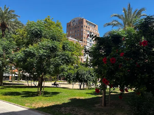 Piso en Calle del Poeta Josep Cervera i Grífol, 12, Ciutat de les Arts i de les Ciencies - Foto 4
