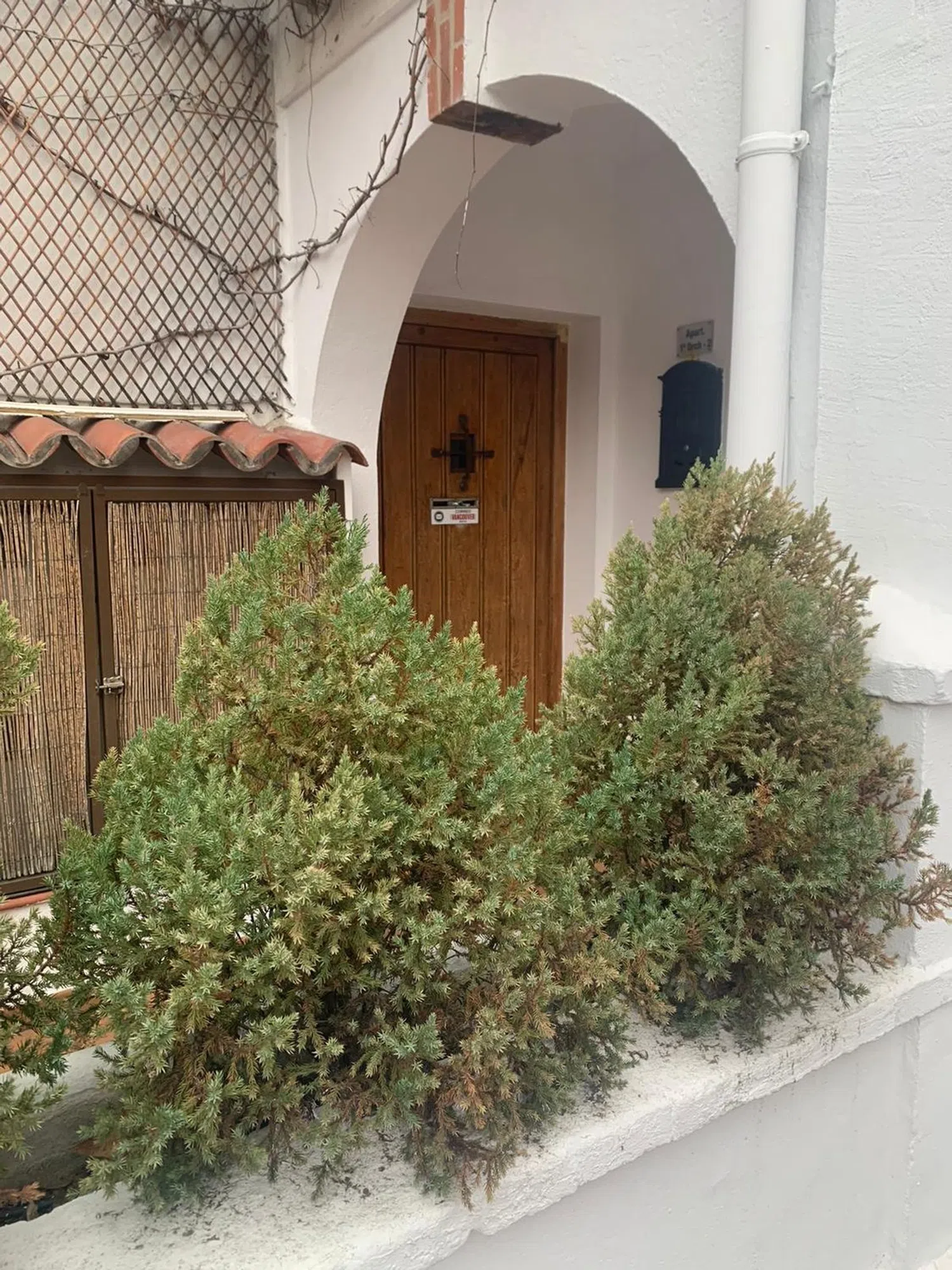 Estudio en calle Baja de la Iglesia, 18 - Foto 2