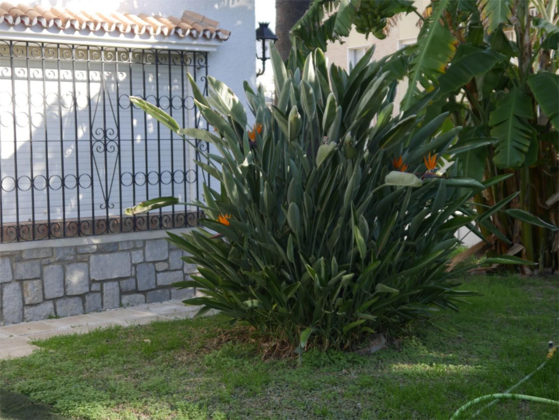 Chalet en  Calle Don Diego de Miranda 6 - Foto 14