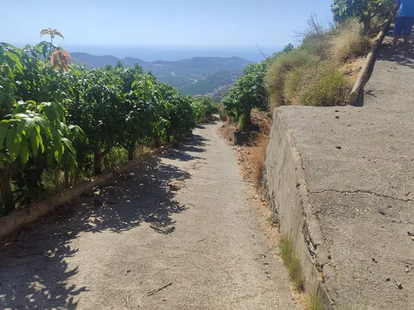 Cortijo en Cortijo en Camino de Río Seco, 36, El Rescate - Río Seco, El Rescate - Río Seco - Foto 26