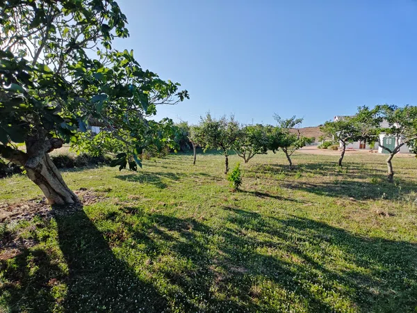 Casa de pueblo en Es Mercadal - Foto 9