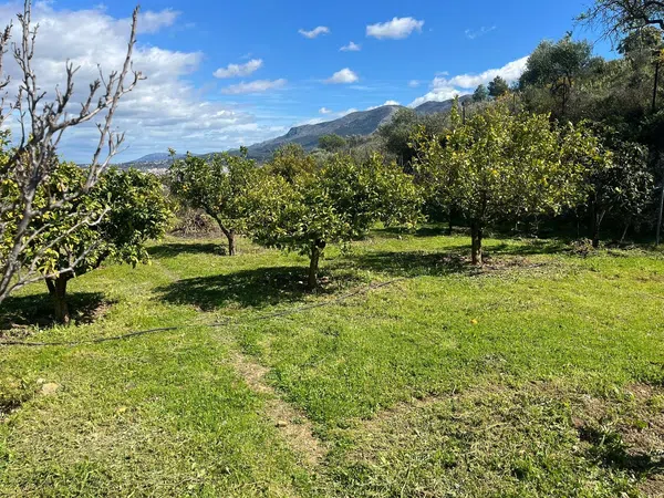 Casa rural en Urbanizacion las delicias s/n - Foto 15