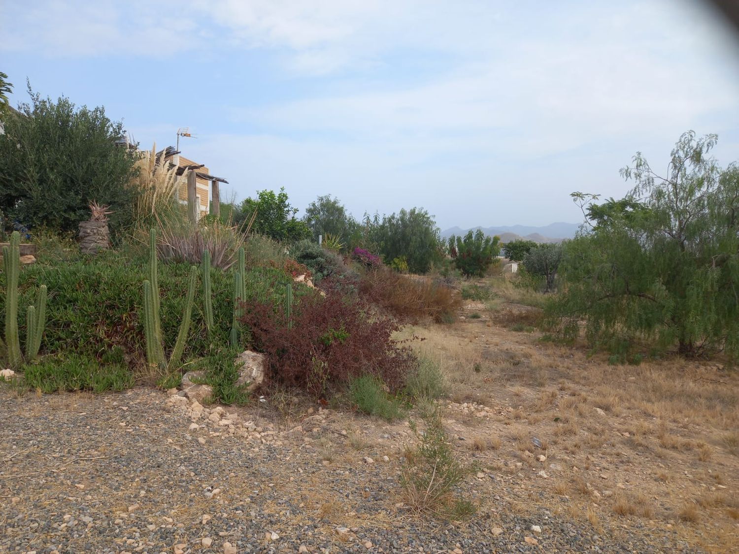 Casa rural en Diseminado el Charcon, 1 - Foto 5
