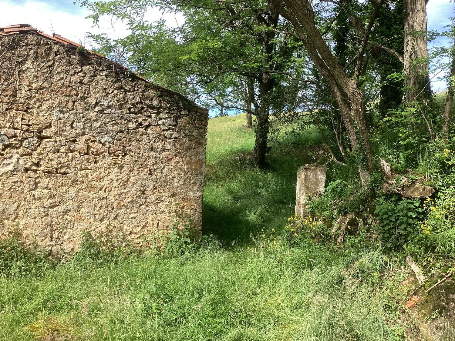 Casa rural en Avenida Alisas, 3 Km - Foto 16