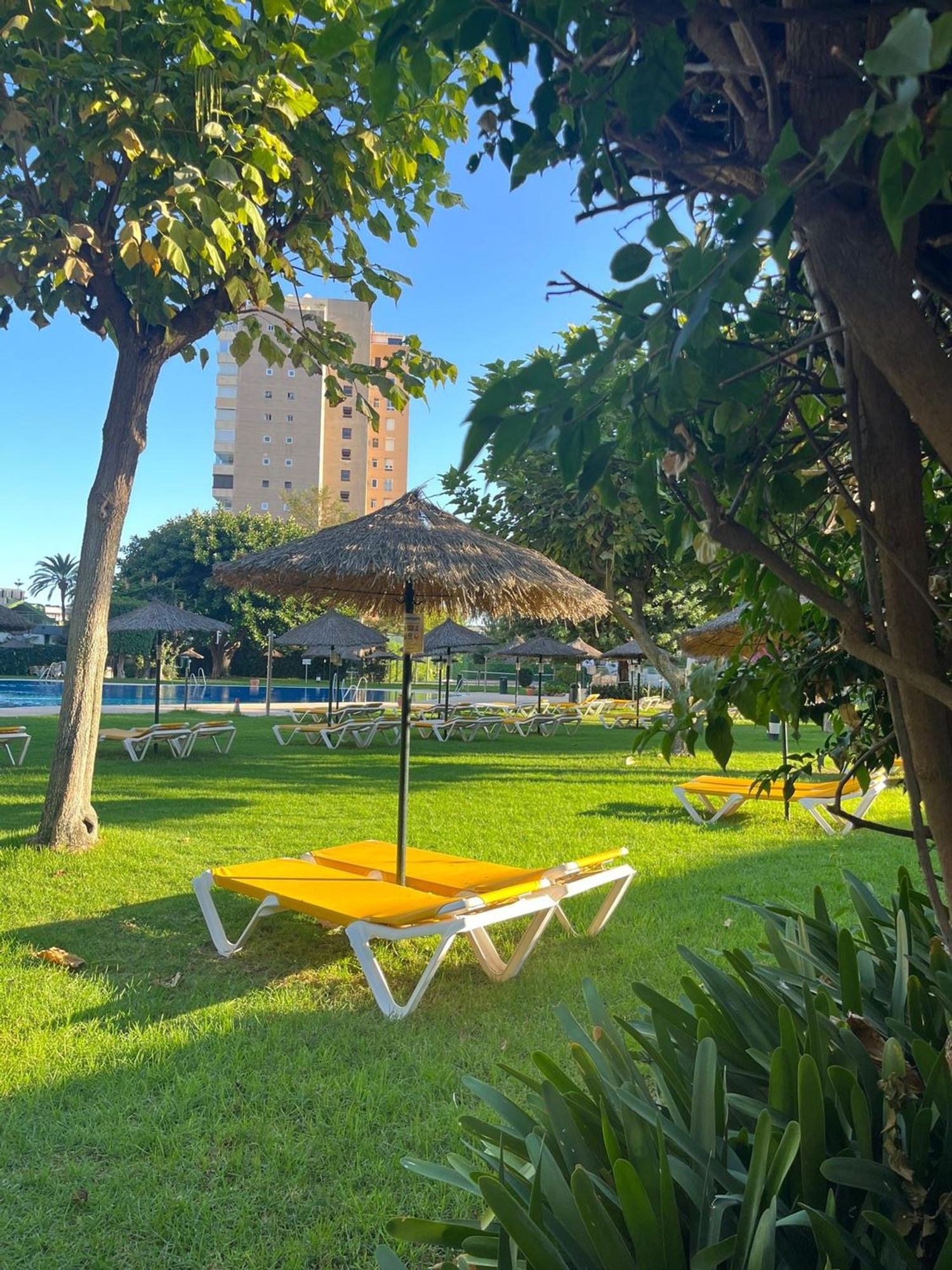 Piso en Avenida de Playamar, 70, Playamar - Benyamina - Foto 33