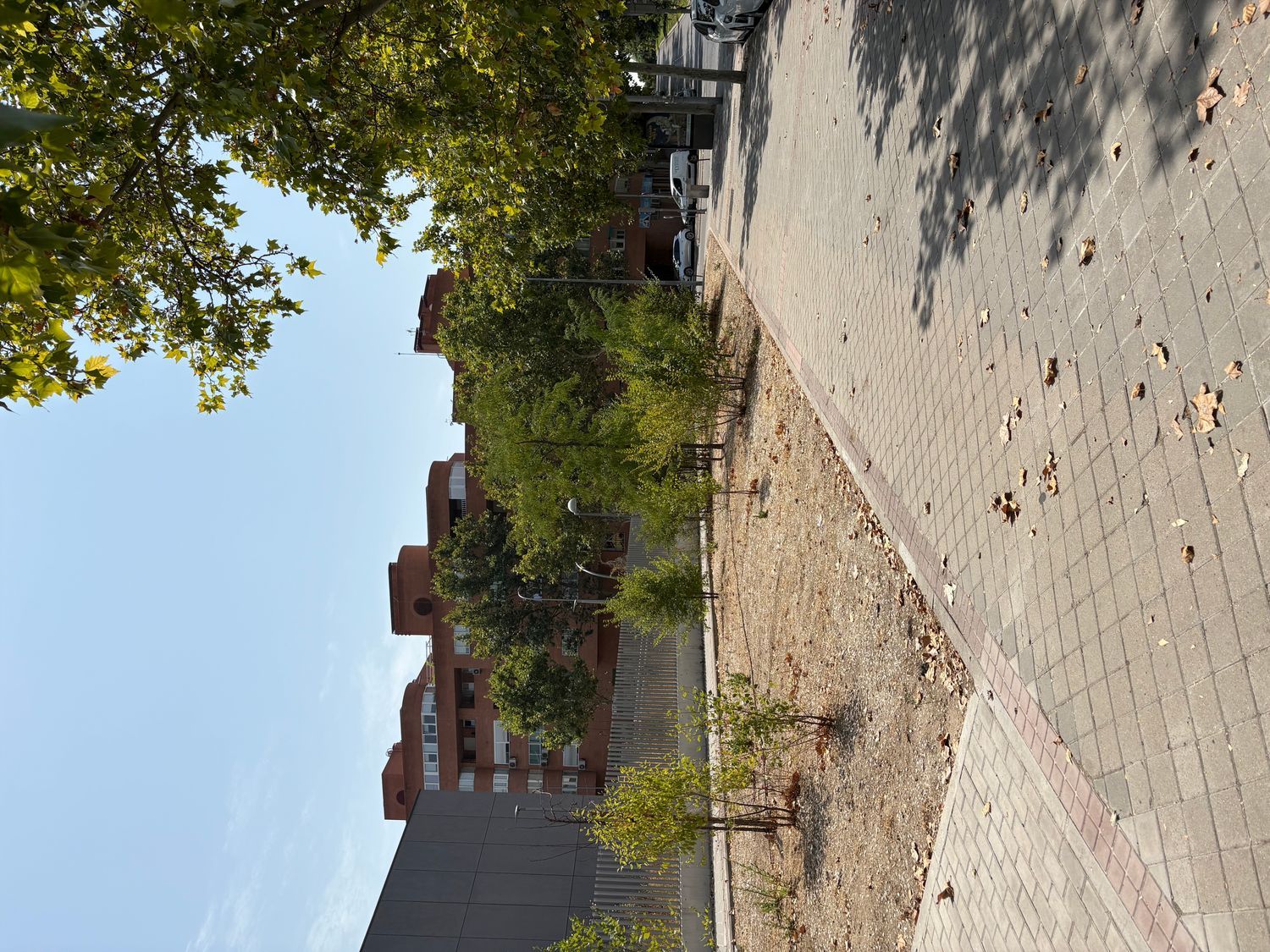 Dúplex en Calle Río Arauca, 201, Portazgo - Foto 28