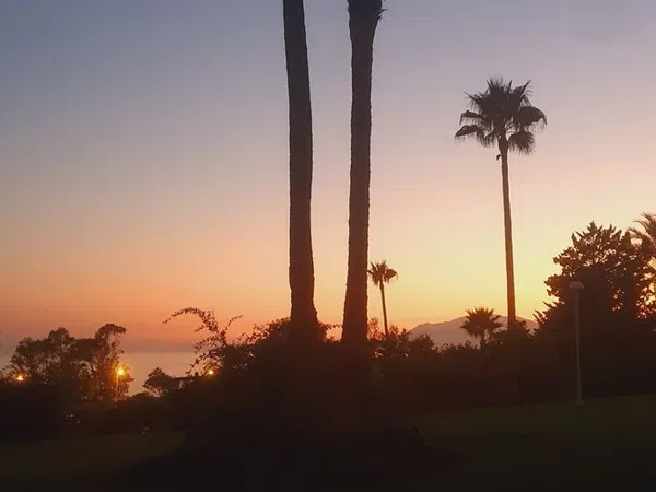 Estudio en calle Peter Viertel, 7 - Foto 1