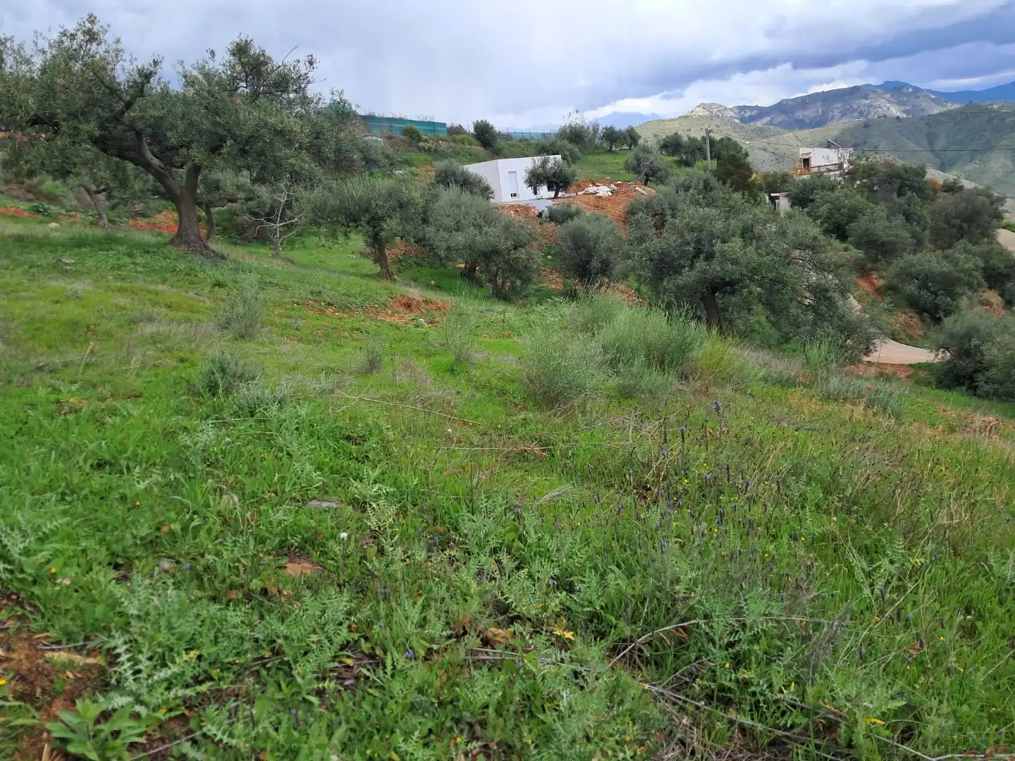 Finca rústica en  Diseminado el Cerval Pol 15 34B - Foto 2