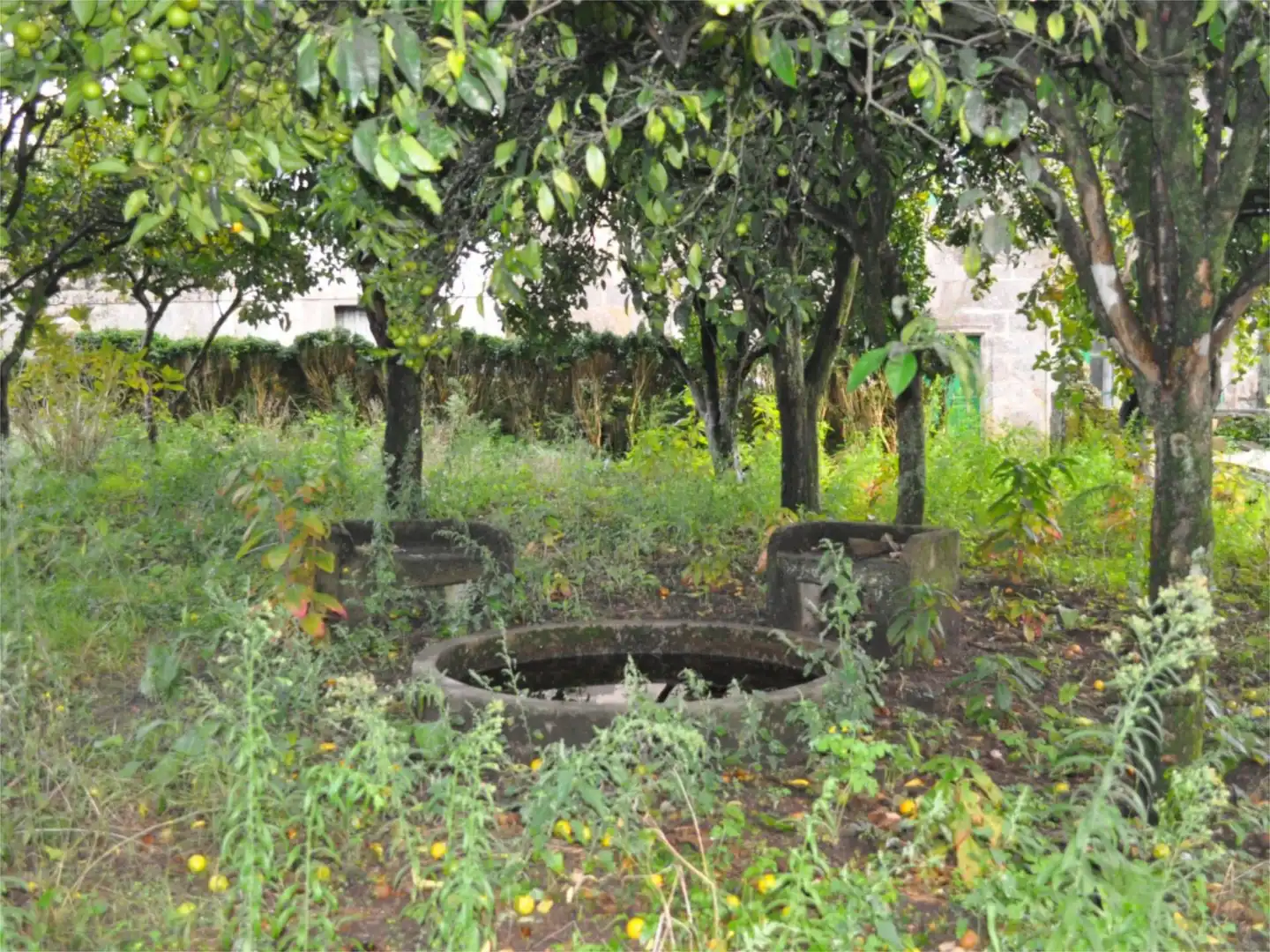 Finca rústica en  Rúa Feal 55 - Foto 16