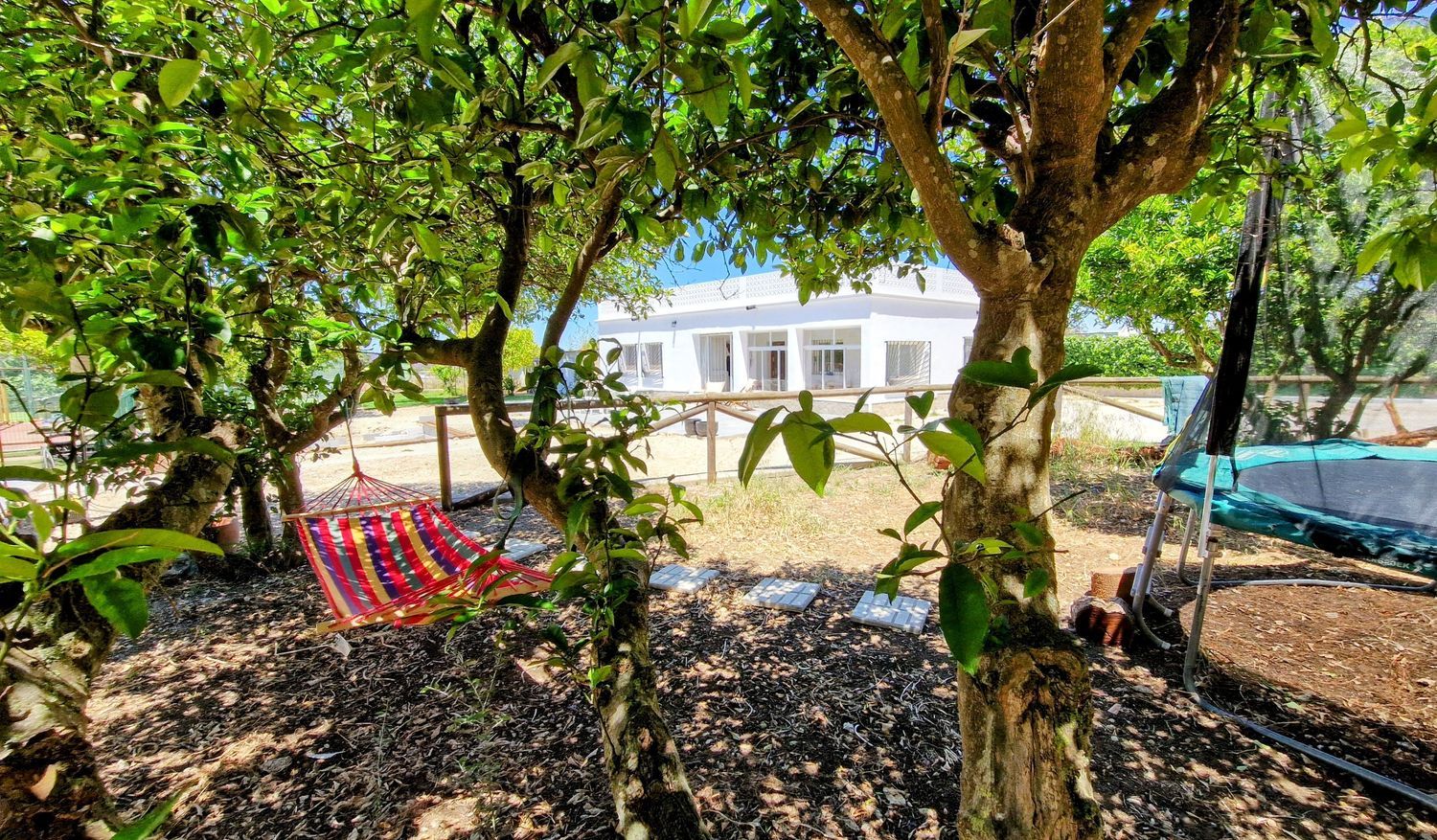 Finca rústica en carril el Clavijo, 39 - Foto 1