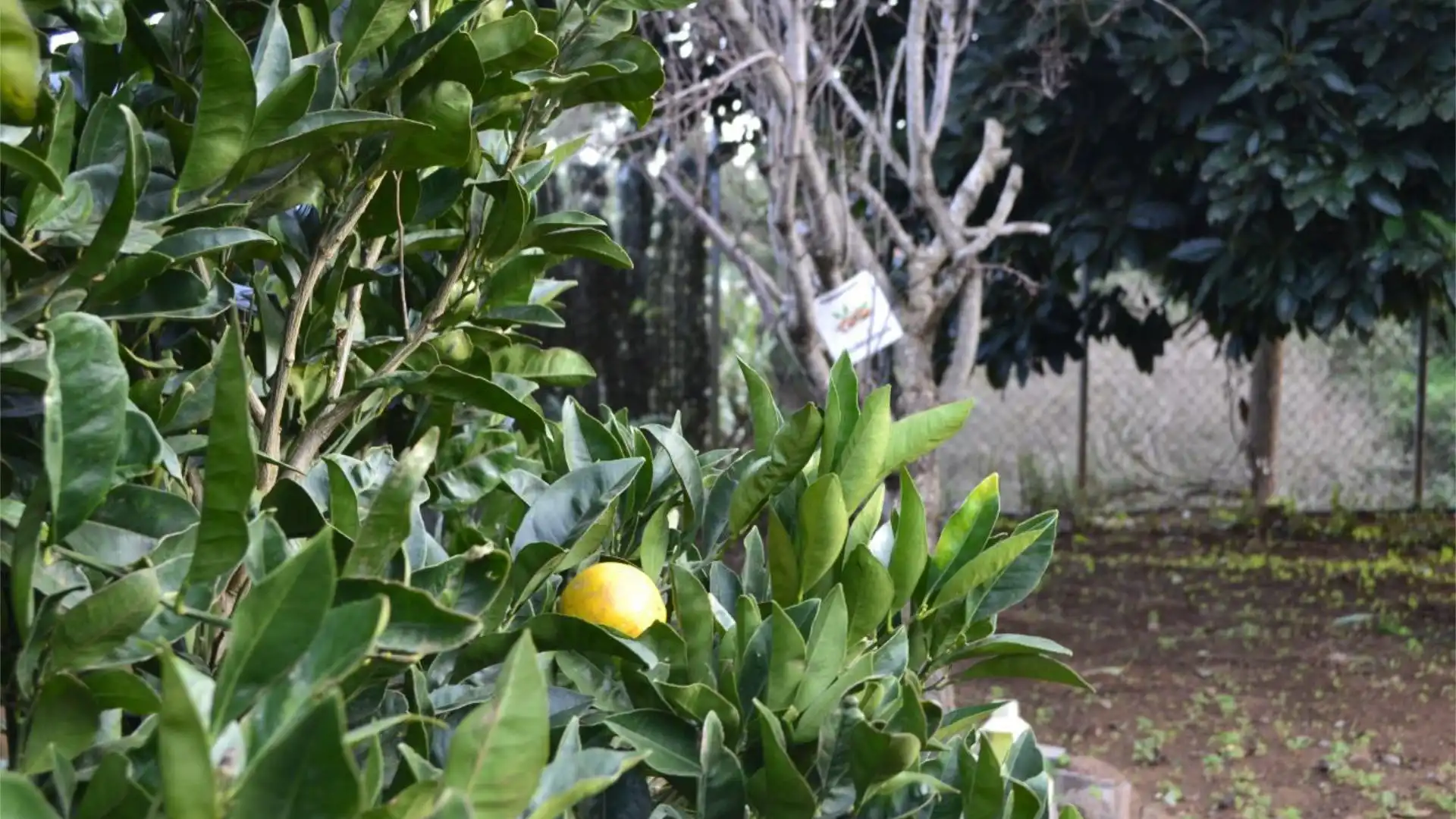 Piso en  Calle el Roquillo 27 - Foto 26