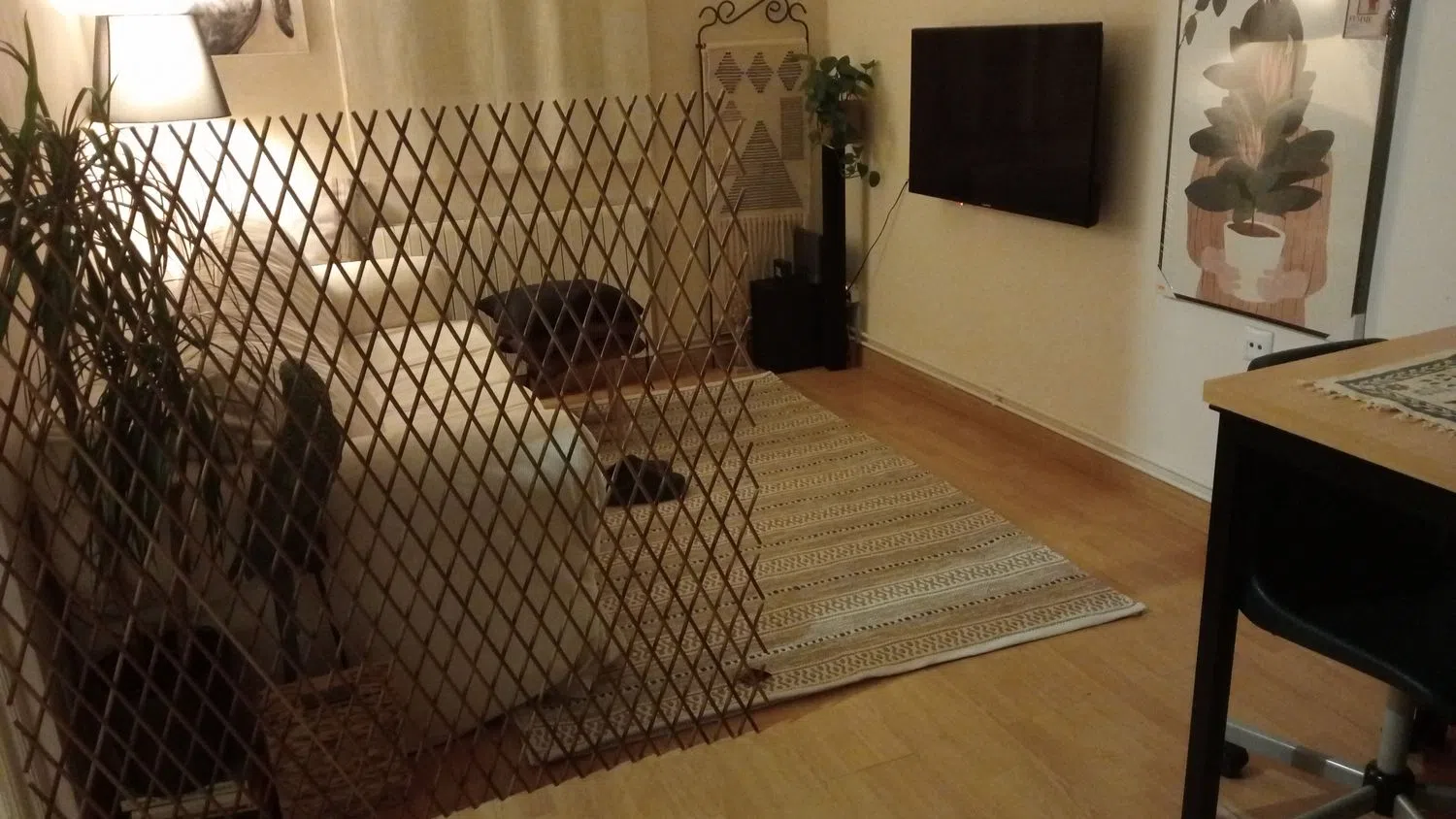 Estudio en mare de deu dels Àngels, 49 - Foto 3