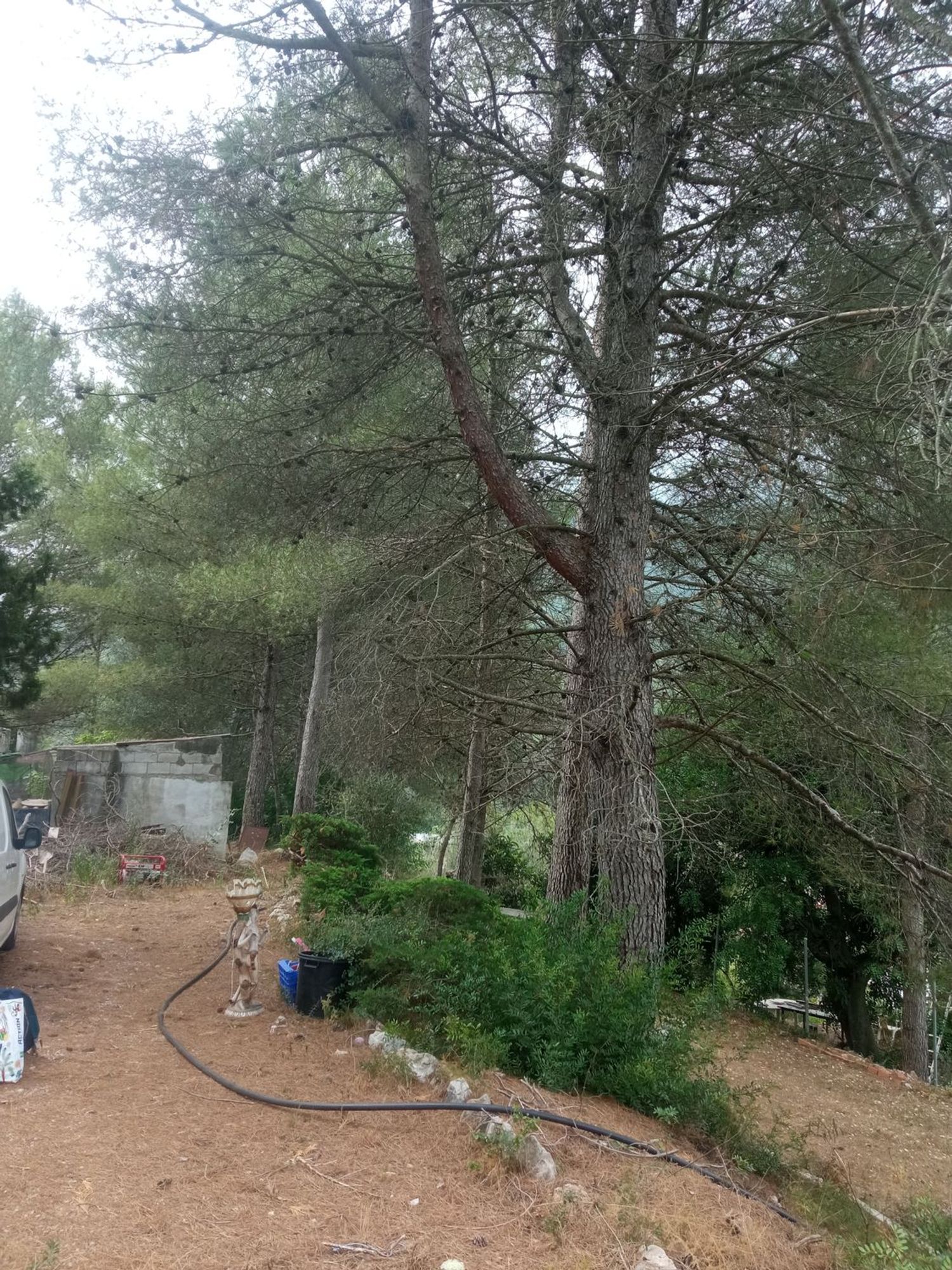 Finca rústica en Bancal domenec s/n - Foto 27