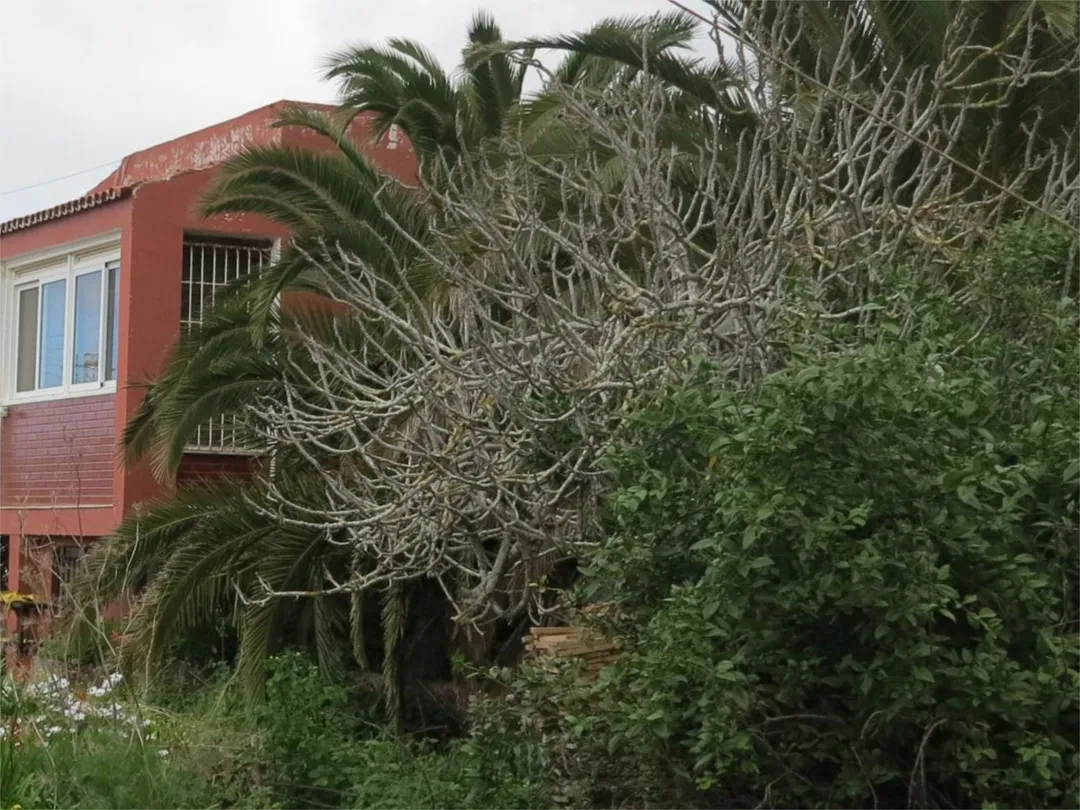 Piso en  Calle Mencey Bencomo 11 - Foto 4