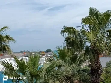 Piso en rotonda de la muixeranga - Foto 1