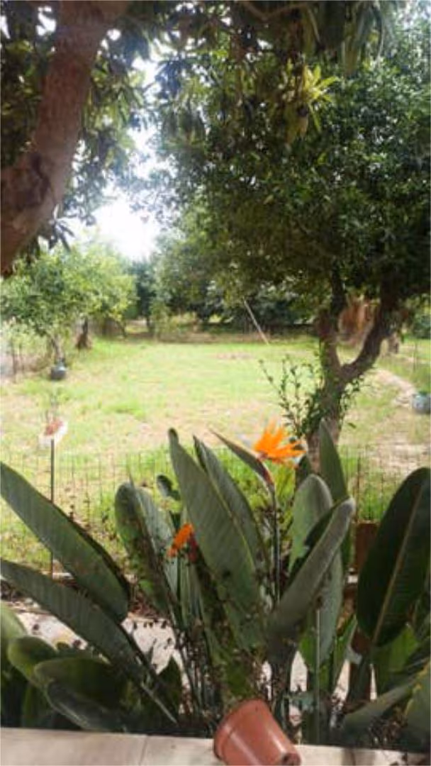 Chalet en Zona Oeste - Foto 3