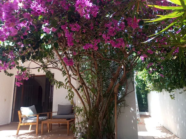 Chalet pareado en El Portet-Pla del Mar, El Portet-Pla del Mar - Foto 14