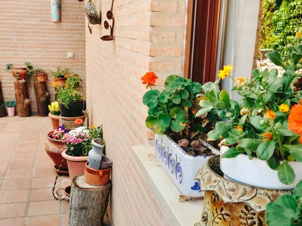 Casa independiente en El clavin, 47 - Foto 2