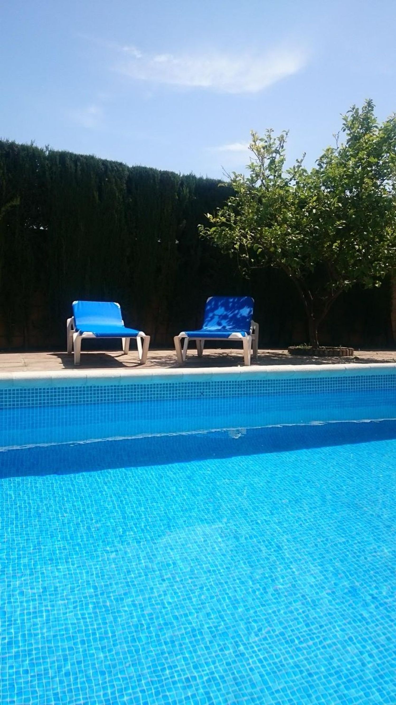 Casa o chalet independiente en Calle Escultor Freila Guevara, 32, Brillante - Foto 40