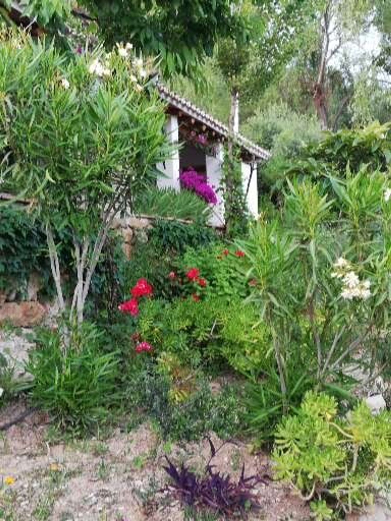 Casa o chalet independiente en Camino Fontana, 1 - Foto 29