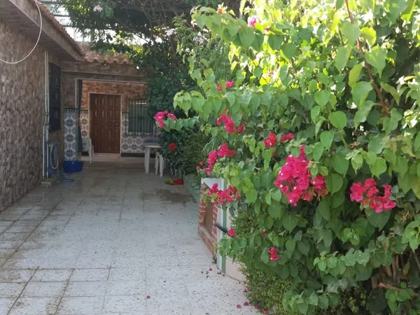 Casa o chalet independiente en Calle Miramar, 12 - Foto 6