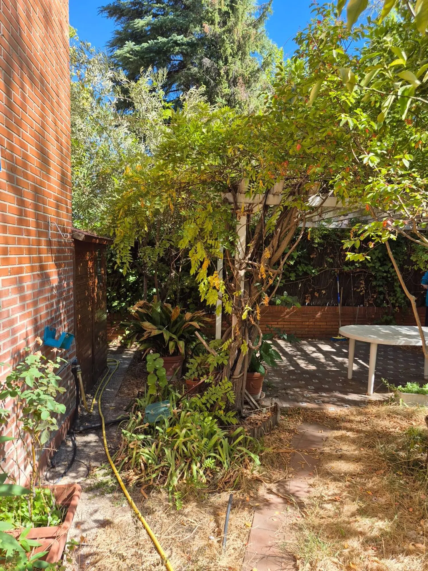 Piso en calle del Marqués de Hoyos, 7 - Foto 2