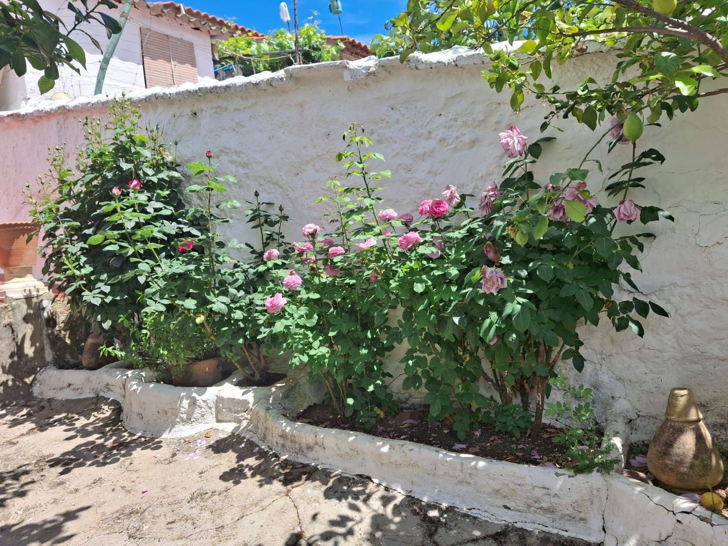 Casa de pueblo en Calle Castelar, 2 - Foto 24