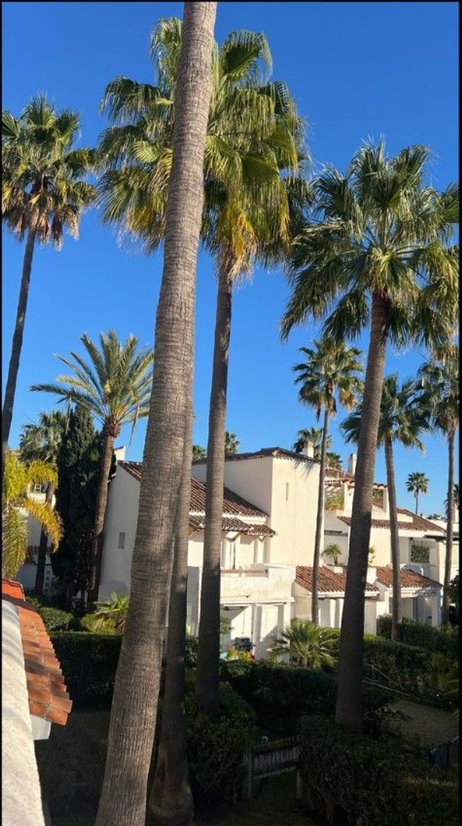 Casa o chalet independiente en Avenida de Albatros, 2 AvdeAlbatrosMarbella, Bahía de Marbella - Foto 14