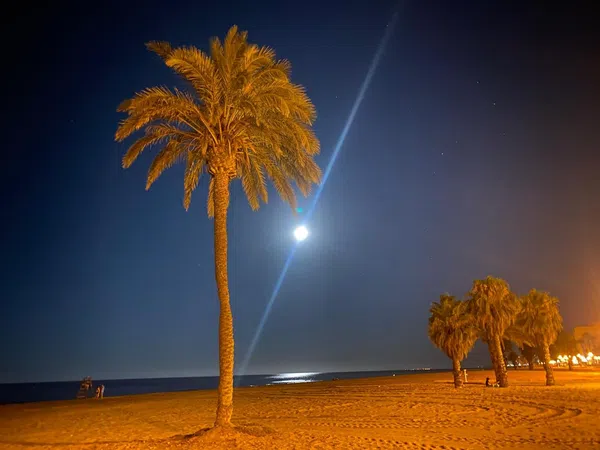 Piso en calle Músico Agustín Bertomeu, 3 - Foto 18