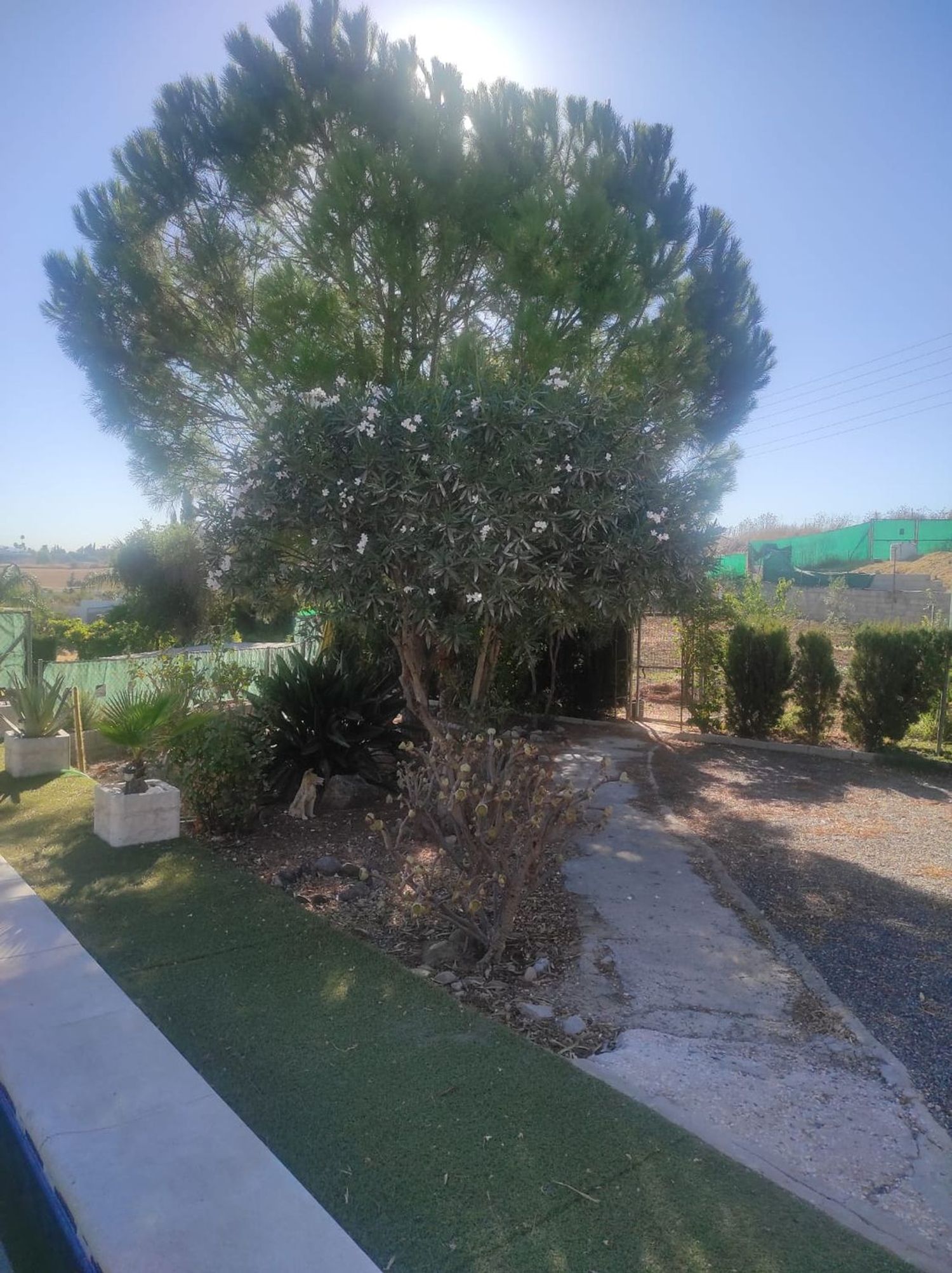 Finca rústica en Villa del Guadalhorce, 1, Villafranco del Guadalhorce, Villafranco del Guadalhorce - Foto 18