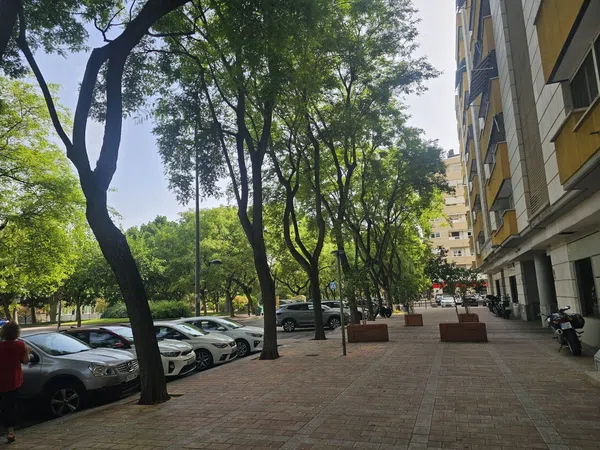 Piso en Calle de la Olma, 31, San Andrés-San Antolín - Foto 31